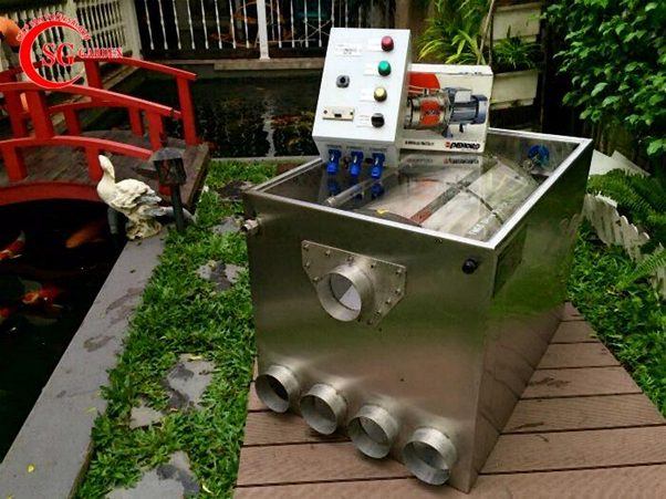 Máy bơm hồ cá ngoài trời và những điều có thẻ bạn chưa biết