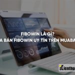 Fibowin là gì? Cách mua bán FiboWin uy tín trên Muabancoin.io