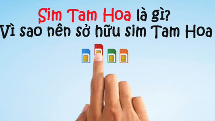 Ý nghĩa của sim tam hoa 222